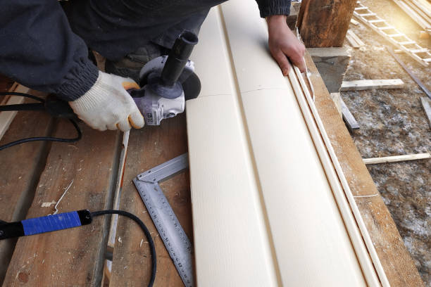 Best Steel Siding Installation  in Point Pleasant, NJ